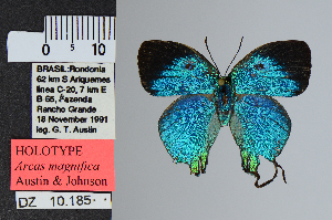  ( - DZ10.185)  @11 [ ] c (2025) UFPR UFPR