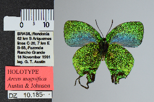  ( - DZ10.185)  @11 [ ] c (2025) UFPR UFPR