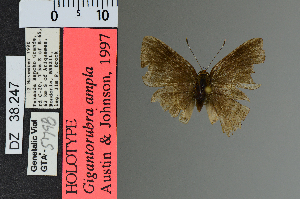  ( - DZ38.247)  @11 [ ] c (2025) UFPR UFPR