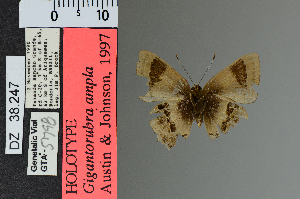  ( - DZ38.247)  @11 [ ] c (2025) UFPR UFPR