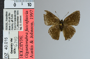  ( - DZ40.015)  @11 [ ] c (2025) UFPR UFPR