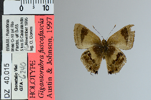  ( - DZ40.015)  @11 [ ] c (2025) UFPR UFPR