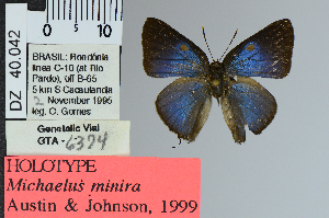  (Michaelus minira - DZ40.042)  @11 [ ] c (2025) UFPR UFPR