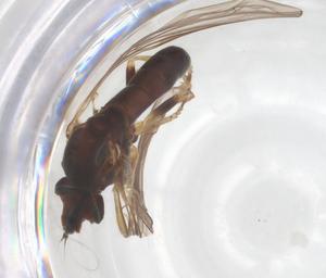  ( - BIOUG06801-B10)  @11 [ ] CreativeCommons - Attribution Share - Alike (2025) Centre for Biodiversity Genomics Centre for Biodiversity Genomics