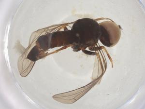  ( - BIOUG20172-D01)  @11 [ ] CreativeCommons - Attribution Share - Alike (2025) Centre for Biodiversity Genomics Centre for Biodiversity Genomics