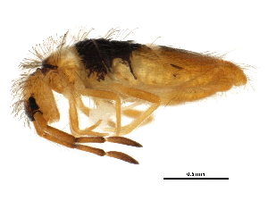  ( - BIOUG04291-H02)  @15 [ ] CreativeCommons - Attribution (2013) CBG Photography Group Centre for Biodiversity Genomics
