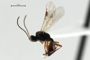  ( - CBRA0361)  @12 [ ] CreativeCommons - Attribution (2009) CBG Photography Group Centre for Biodiversity Genomics