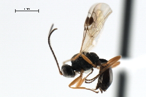  ( - CBRA0402)  @14 [ ] CreativeCommons - Attribution (2009) CBG Photography Group Centre for Biodiversity Genomics