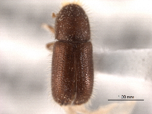  ( - CNC COLEO 00154694)  @12 [ ] CreativeCommons - Attribution (2012) CNC/CBG Photography Group Centre for Biodiversity Genomics