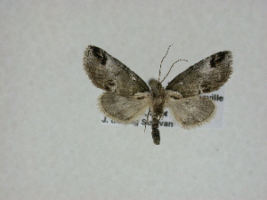  ( - 14-NCCC-281)  @12 [ ] Unspecified (default): All Rights Reserved  Unspecified Unspecified