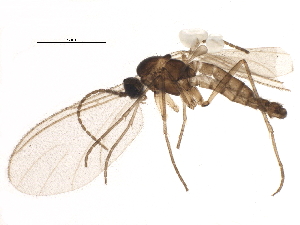  ( - BIOUG11180-H11)  @14 [ ] CreativeCommons - Attribution (2014) CBG Photography Group Centre for Biodiversity Genomics
