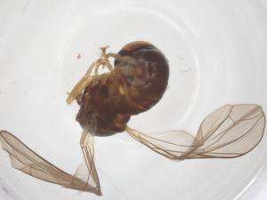  ( - BIOUG12301-F04)  @11 [ ] CreativeCommons - Attribution Share - Alike (2025) Centre for Biodiversity Genomics Centre for Biodiversity Genomics