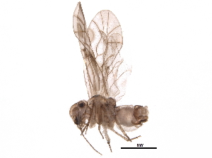  ( - BIOUG11791-E04)  @14 [ ] CreativeCommons - Attribution (2016) CBG Photography Group Centre for Biodiversity Genomics