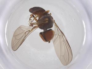  ( - BIOUG10341-E05)  @11 [ ] CreativeCommons - Attribution Share - Alike (2025) Centre for Biodiversity Genomics Centre for Biodiversity Genomics