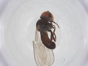  ( - BIOUG20683-G09)  @11 [ ] CreativeCommons - Attribution Share - Alike (2025) Centre for Biodiversity Genomics Centre for Biodiversity Genomics