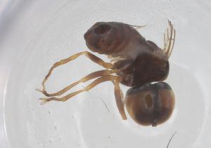  ( - BIOUG20689-D05)  @11 [ ] CreativeCommons - Attribution Share - Alike (2025) Centre for Biodiversity Genomics Centre for Biodiversity Genomics