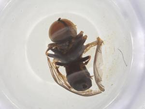  ( - BIOUG21639-B08)  @11 [ ] CreativeCommons - Attribution Share - Alike (2025) Centre for Biodiversity Genomics Centre for Biodiversity Genomics