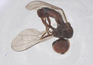  ( - BIOUG21539-F12)  @11 [ ] CreativeCommons - Attribution Share - Alike (2025) Centre for Biodiversity Genomics Centre for Biodiversity Genomics