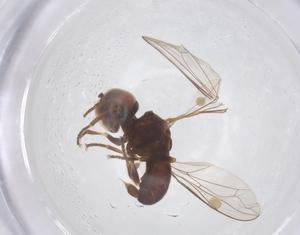  ( - BIOUG21439-B06)  @11 [ ] CreativeCommons - Attribution Share - Alike (2025) Centre for Biodiversity Genomics Centre for Biodiversity Genomics