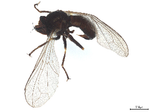  ( - BIOUG21512-E06)  @11 [ ] CreativeCommons - Attribution (2025) CBG Photography Group Centre for Biodiversity Genomics