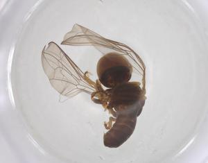  ( - BIOUG17680-B02)  @11 [ ] CreativeCommons - Attribution Share - Alike (2025) Centre for Biodiversity Genomics Centre for Biodiversity Genomics