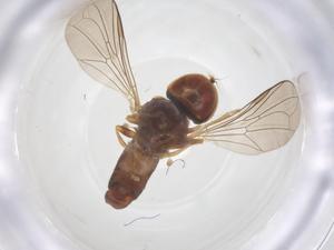  ( - BIOUG11823-B06)  @11 [ ] CreativeCommons - Attribution Share - Alike (2025) Centre for Biodiversity Genomics Centre for Biodiversity Genomics