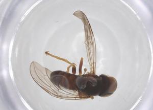  ( - BIOUG12069-C05)  @11 [ ] CreativeCommons - Attribution Share - Alike (2025) Centre for Biodiversity Genomics Centre for Biodiversity Genomics