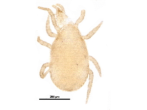  ( - BIOUG18927-H09)  @11 [ ] CreativeCommons - Attribution (2017) CBG Photography Group Centre for Biodiversity Genomics