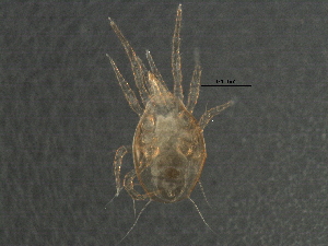  ( - BIOUG14266-C03)  @12 [ ] CreativeCommons - Attribution (2014) CBG Photography Group Centre for Biodiversity Genomics