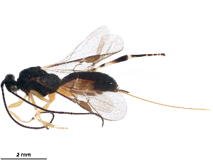  ( - BIOUG12685-E01)  @13 [ ] CreativeCommons - Attribution (2018) CBG Photography Group Centre for Biodiversity Genomics