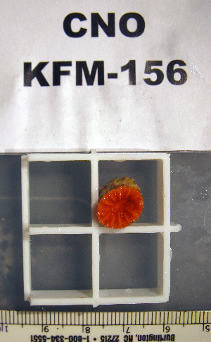  ( - OGL-E01665)  @11 [ ] No Rights Reserved (2009) Coastal Marine Biolabs Coastal Marine Biolabs