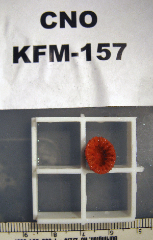  ( - OGL-E01666)  @11 [ ] No Rights Reserved (2009) Coastal Marine Biolabs Coastal Marine Biolabs