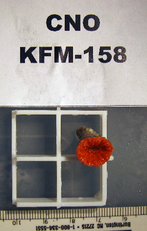  ( - OGL-E01667)  @11 [ ] No Rights Reserved (2009) Coastal Marine Biolabs Coastal Marine Biolabs