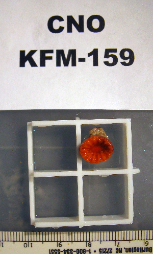  ( - OGL-E01668)  @11 [ ] No Rights Reserved (2009) Coastal Marine Biolabs Coastal Marine Biolabs
