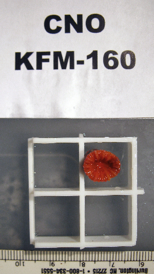  ( - OGL-E01669)  @11 [ ] No Rights Reserved (2009) Coastal Marine Biolabs Coastal Marine Biolabs