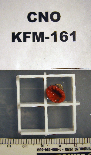  ( - OGL-E01670)  @11 [ ] No Rights Reserved (2009) Coastal Marine Biolabs Coastal Marine Biolabs