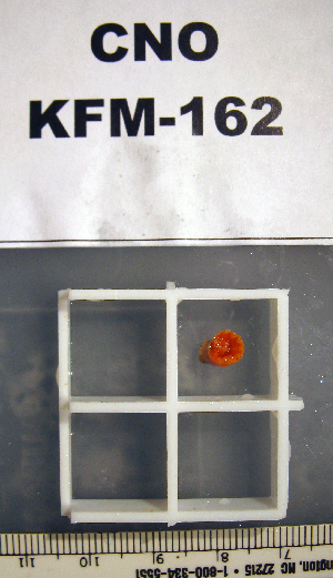  ( - OGL-E01671)  @11 [ ] No Rights Reserved (2009) Coastal Marine Biolabs Coastal Marine Biolabs
