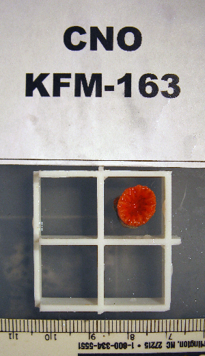  ( - OGL-E01672)  @11 [ ] No Rights Reserved (2009) Coastal Marine Biolabs Coastal Marine Biolabs