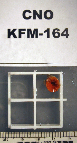  ( - OGL-E01673)  @11 [ ] No Rights Reserved (2009) Coastal Marine Biolabs Coastal Marine Biolabs