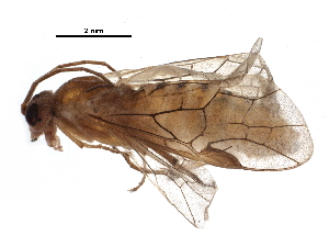  ( - BIOUG07333-A04)  @12 [ ] CreativeCommons - Attribution (2016) CBG Photography Group Centre for Biodiversity Genomics