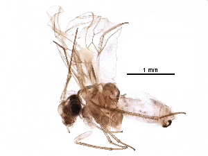  ( - BIOUG07121-D01)  @14 [ ] CreativeCommons - Attribution (2016) CBG Photography Group Centre for Biodiversity Genomics