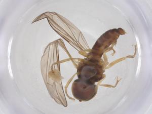  ( - BIOUG10457-H02)  @11 [ ] CreativeCommons - Attribution Share - Alike (2025) Centre for Biodiversity Genomics Centre for Biodiversity Genomics