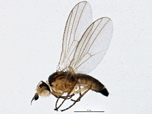  ( - BIOUG02976-H06)  @14 [ ] CreativeCommons - Attribution (2013) CBG Photography Group Centre for Biodiversity Genomics