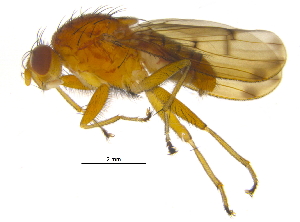  ( - BIOUG02985-G04)  @14 [ ] CreativeCommons - Attribution (2012) CBG Photography Group Centre for Biodiversity Genomics