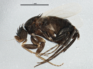 ( - BIOUG03369-H04)  @14 [ ] CreativeCommons - Attribution (2013) CBG Photography Group Centre for Biodiversity Genomics