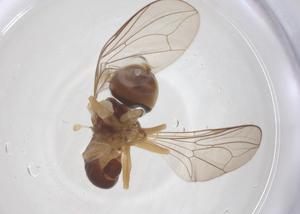  ( - BIOUG03849-A07)  @11 [ ] CreativeCommons - Attribution Share - Alike (2025) Centre for Biodiversity Genomics Centre for Biodiversity Genomics