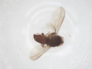  ( - BIOUG19970-E05)  @11 [ ] CreativeCommons - Attribution Share - Alike (2025) Centre for Biodiversity Genomics Centre for Biodiversity Genomics