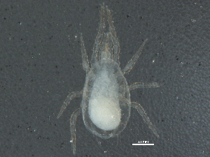  ( - BIOUG07022-D01)  @12 [ ] CreativeCommons - Attribution (2014) CBG Photography Group Centre for Biodiversity Genomics