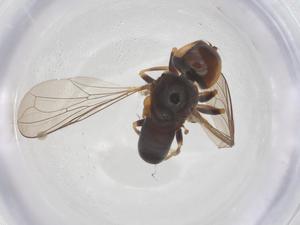  ( - BIOUG20955-E08)  @11 [ ] CreativeCommons - Attribution Share - Alike (2025) Centre for Biodiversity Genomics Centre for Biodiversity Genomics