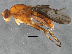  ( - BIOUG05836-A04)  @13 [ ] CreativeCommons - Attribution (2014) CBG Photography Group Centre for Biodiversity Genomics